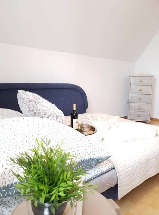 Apartament Dominik Zakopane Exteriör bild